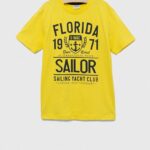 Birba&Trybeyond tricou de bumbac pentru copii culoarea galben, cu imprimeu