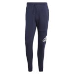 Pantaloni trening ADIDAS pentru barbati M BL FL TC PT - IJ6481