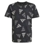 Tricou ADIDAS pentru copii J  CLBRTN TEE - JC7749