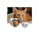 Talisman din argint Custom Photo Shiny Cat