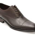 Pantofi eleganti ALDO maro, REECE 201, din piele naturala