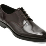 Pantofi eleganti ALDO visinii, ODELL 668, din piele naturala