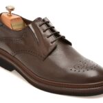 Pantofi eleganti LE COLONEL maro, 61722, din piele naturala